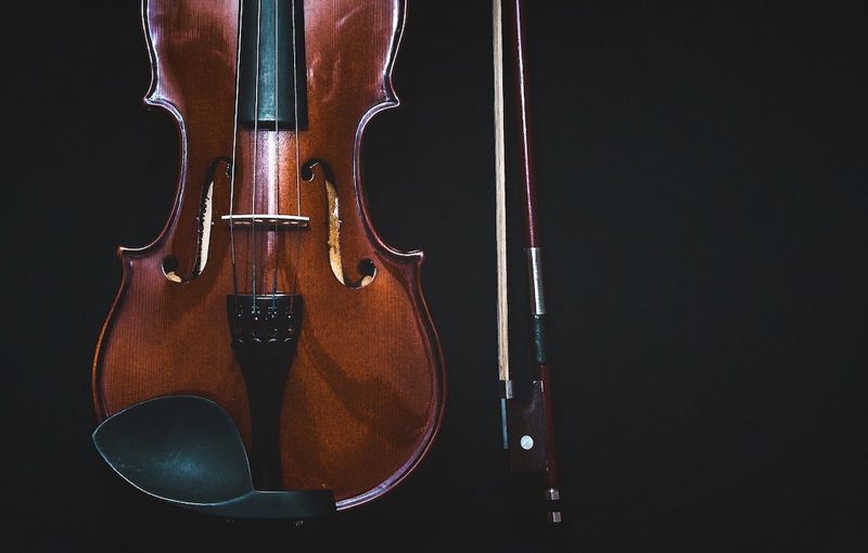 Violino Foto di Pexels da Pixabay