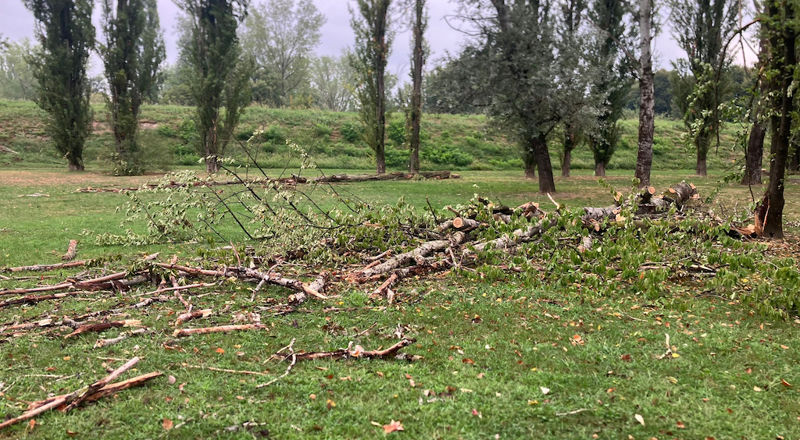 Parco al Po