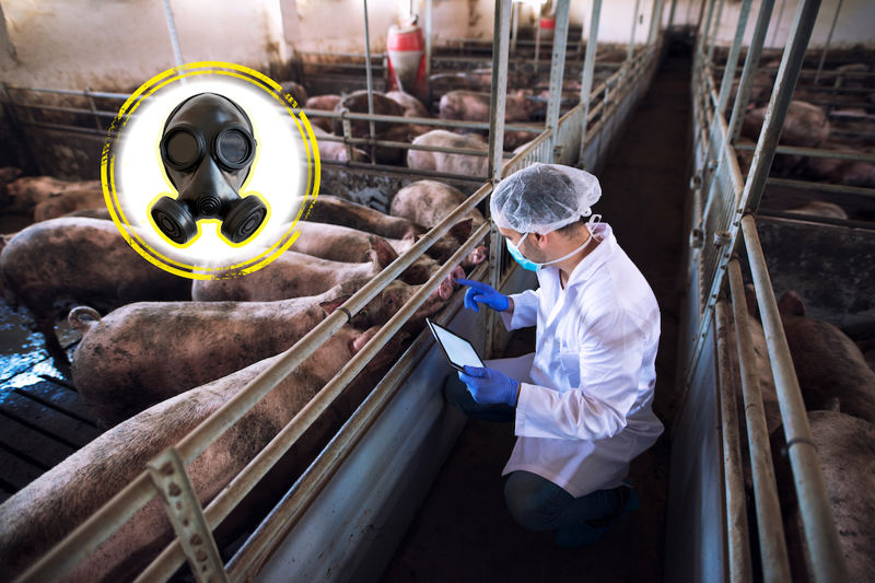 La fabbrica dell'aria malata 1