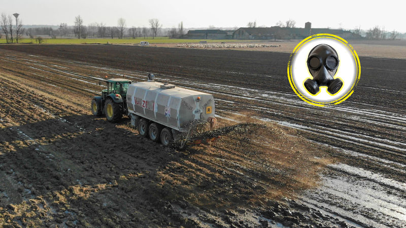 Foto di Paskvi da Pixabay