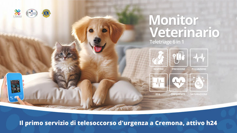Soccorso veterinario Il fiocco