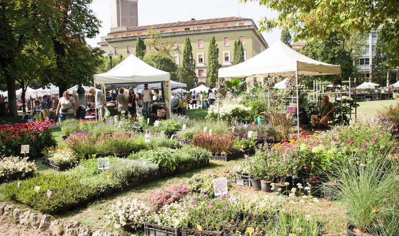 Invasioni Botaniche 2023