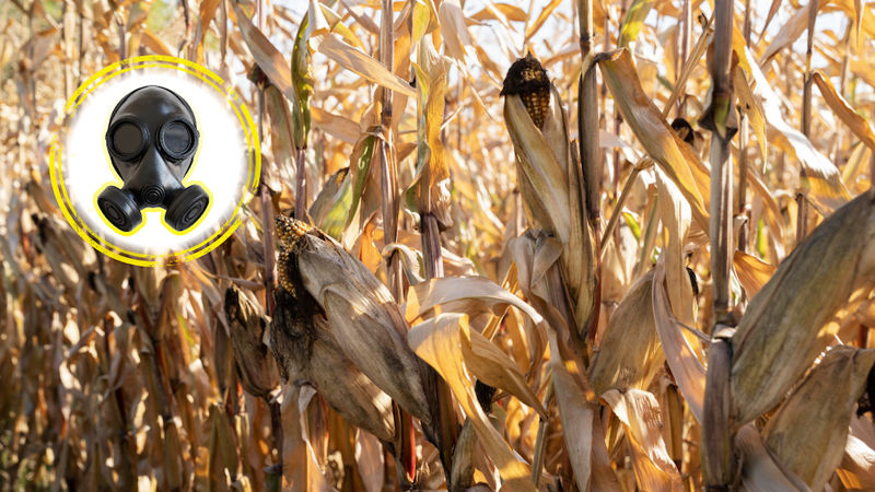 La fabbrica dell'aria malata