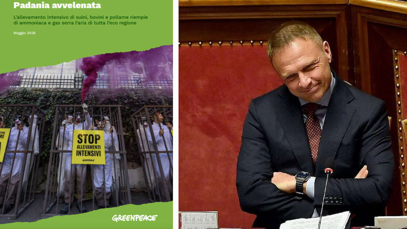 Greenpeace e Ministro Lollobrigida