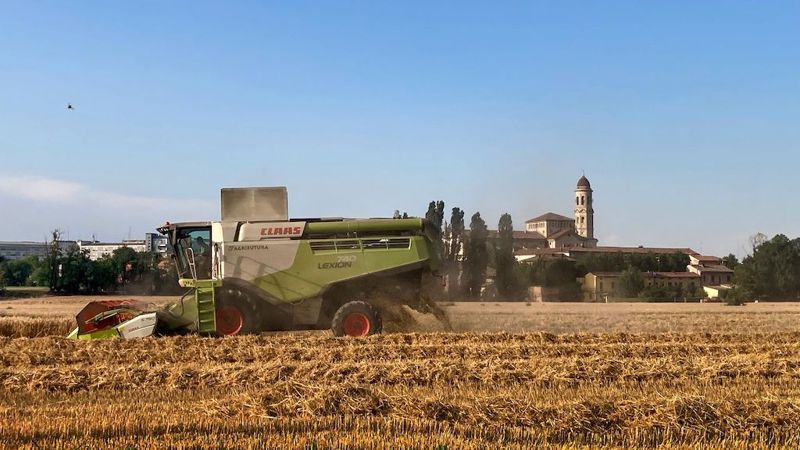 Agricoltura campagna cremonese (foto Mauro Gaimarri)