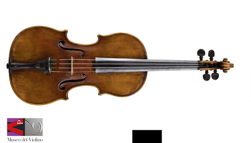 Violino