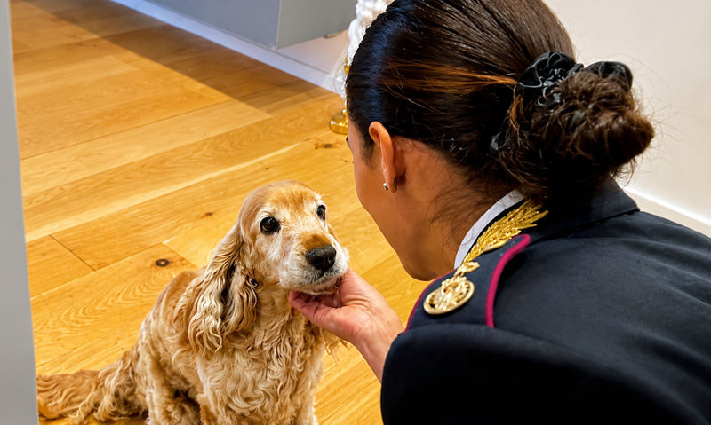 Cane e polizia